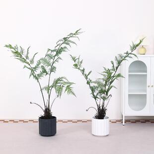 仿真猴头蕨金丝蕨马尾蕨家居装饰绿植盆栽仿真蕨树落地盆栽