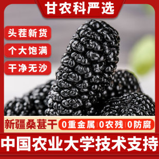 新疆特产黑桑椹干免洗即食特产级桑葚干泡水泡酒大果官方旗舰店