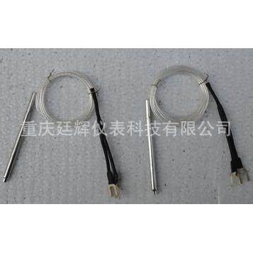 重庆川仪十七厂WZD电机用埋置式热电阻