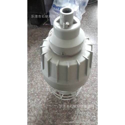 FAD(61)-125S 防爆防腐型灯