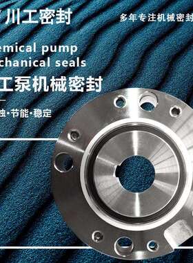 化工泵集装式机封 IJ80-50-200-PKIJ100-65-200-PK 机械密封自贡