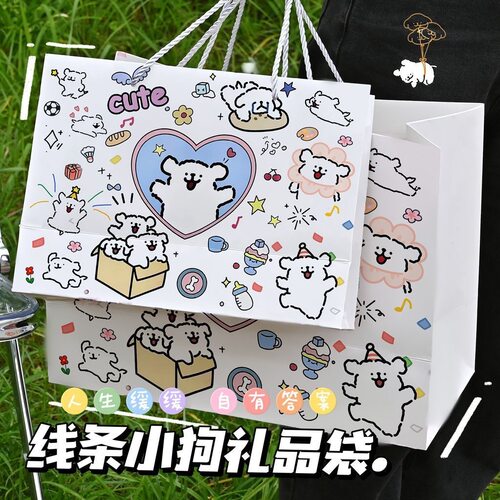 精美线条礼品袋+超大容量白卡｜