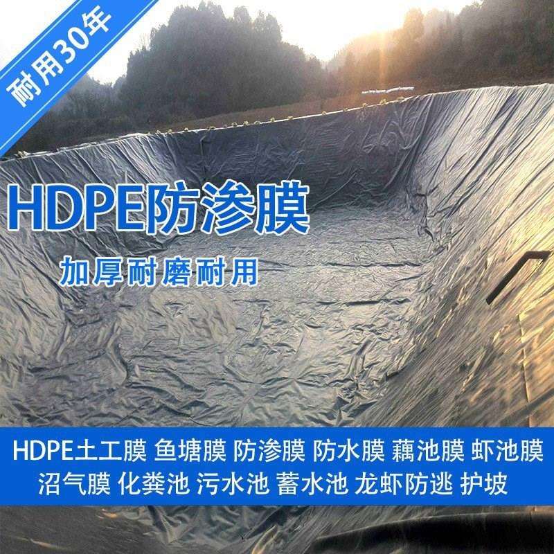 鱼塘防渗膜加厚土工膜黑色塑料膜地膜防漏水池塘防水布鱼池专用