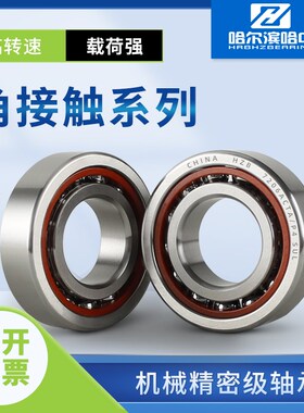 配对角接触球轴承7200 7201 7202 7203 7204 7205 7206 CTA P4