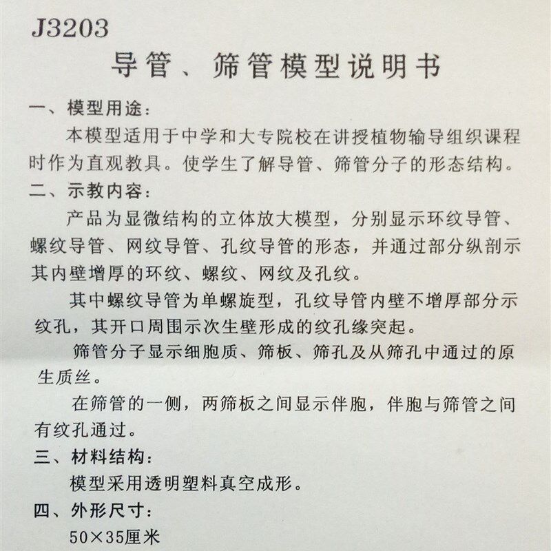 J3203导管筛管结构模型 教学仪器