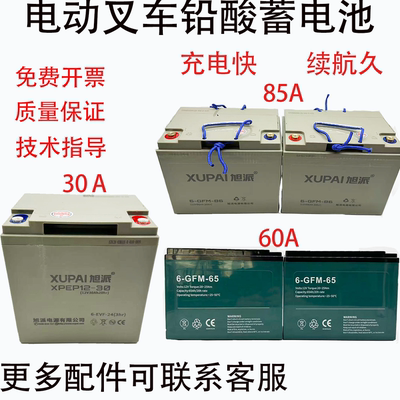 叉车中力诺力合力杭叉铅酸蓄电池