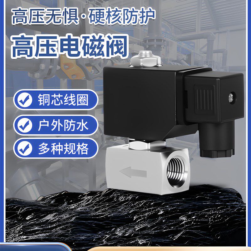 120公斤不锈钢高压电磁阀通径9mm耐高温户外防水电磁阀ac220v24v