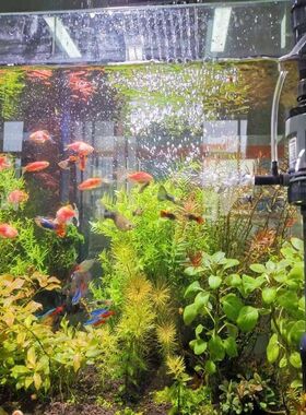 森森鱼缸过滤器内置三合一过滤泵潜水泵抽水泵净水循环泵小型静音