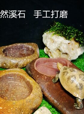 乌龟晒台爬台带饮水槽食盆 爬宠陆龟饲养箱水盆 蜥蜴守宫蛇喂食器