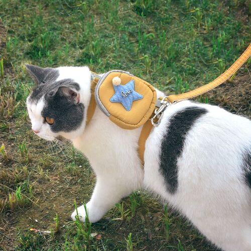宠物猫绳子牵引绳带背包胸背式溜猫绳外出小书包幼猫布偶蓝猫用品