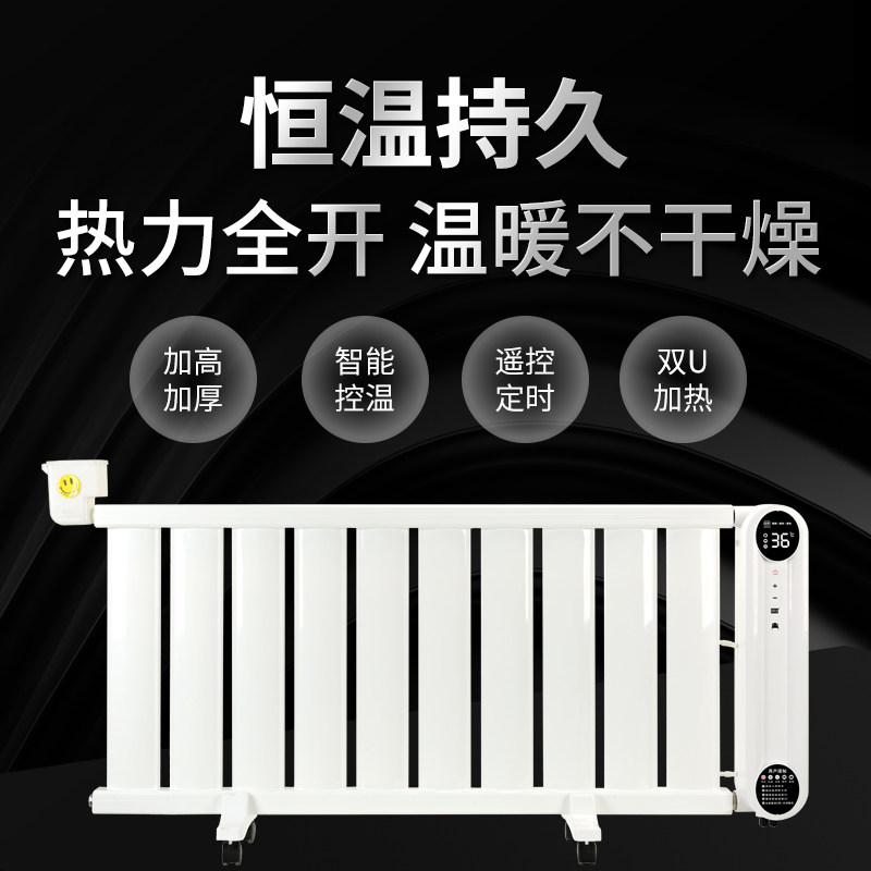 暖气暖炕一体机水循环双温双控智能加热电热水暖炕主机全套