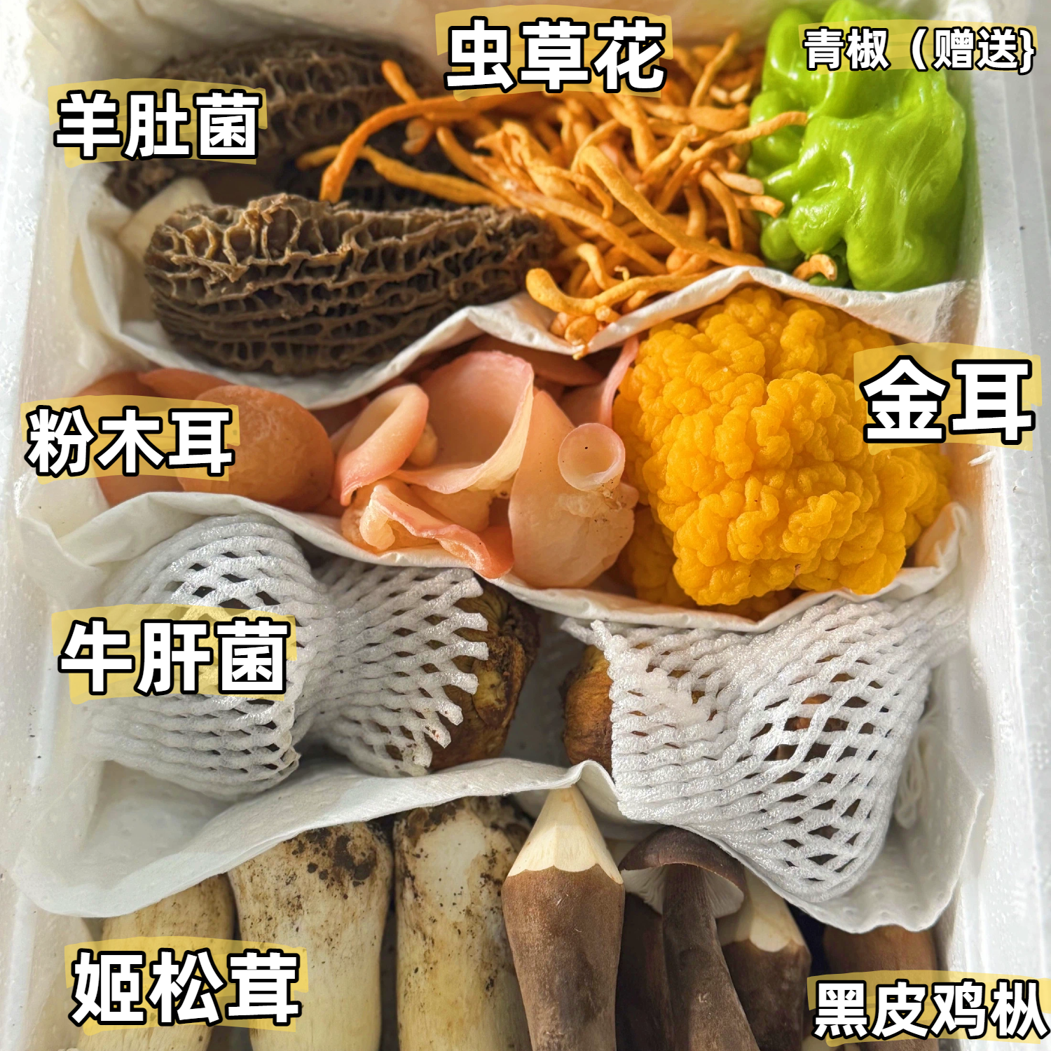 [顺丰空运]七彩云菌云南新鲜菌菇汤包组合牛肝菌虫草花菌子食材