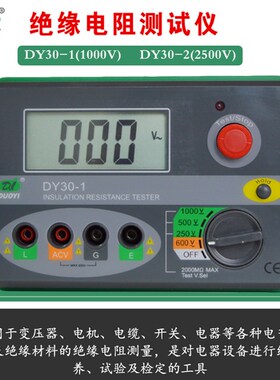 多一数字绝缘电阻测试仪DY30-2/-1电子兆欧表500V/1000/2500V/20G
