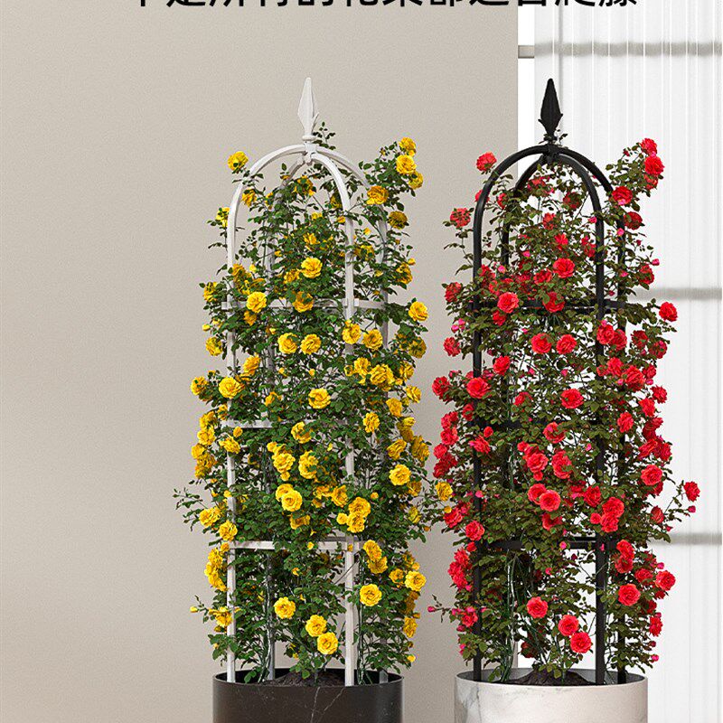 虹越种植架子玫瑰花架铁线莲藤本月季爬藤植物家庭园艺支架支柱