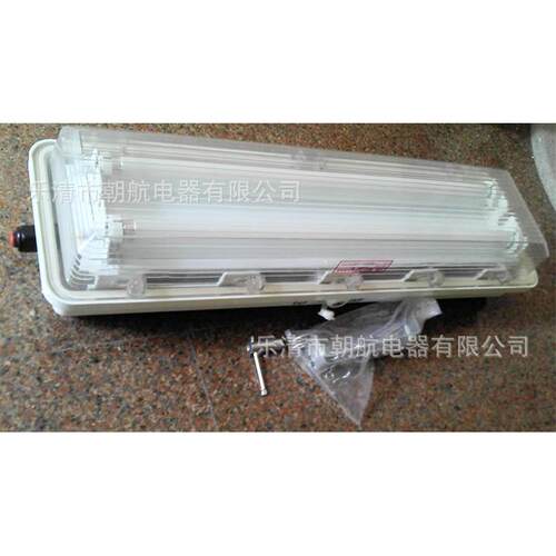 防爆防腐全塑日光灯 BYS三防灯单管双管40W EYD52 BAY51-Q2*36