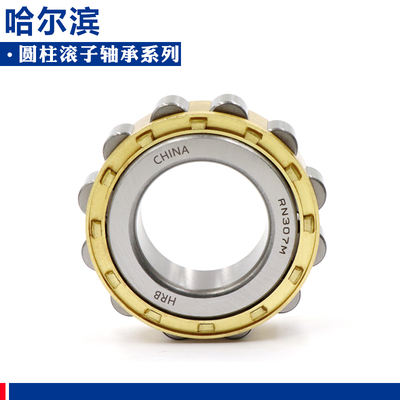 哈尔滨  轴承RN204 RN205 RN206 RN207 RN208 RN219M