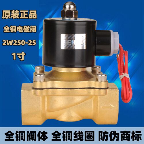 铜线圈全铜1寸电磁阀水阀气阀 2W250-25 1寸口径DC12V 24V AC220V
