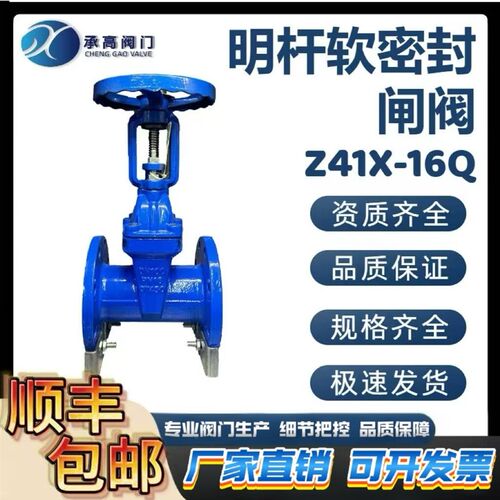 明杆弹性座封法兰闸阀Z41X-16Q球墨铸铁消防自来水管道使用阀门