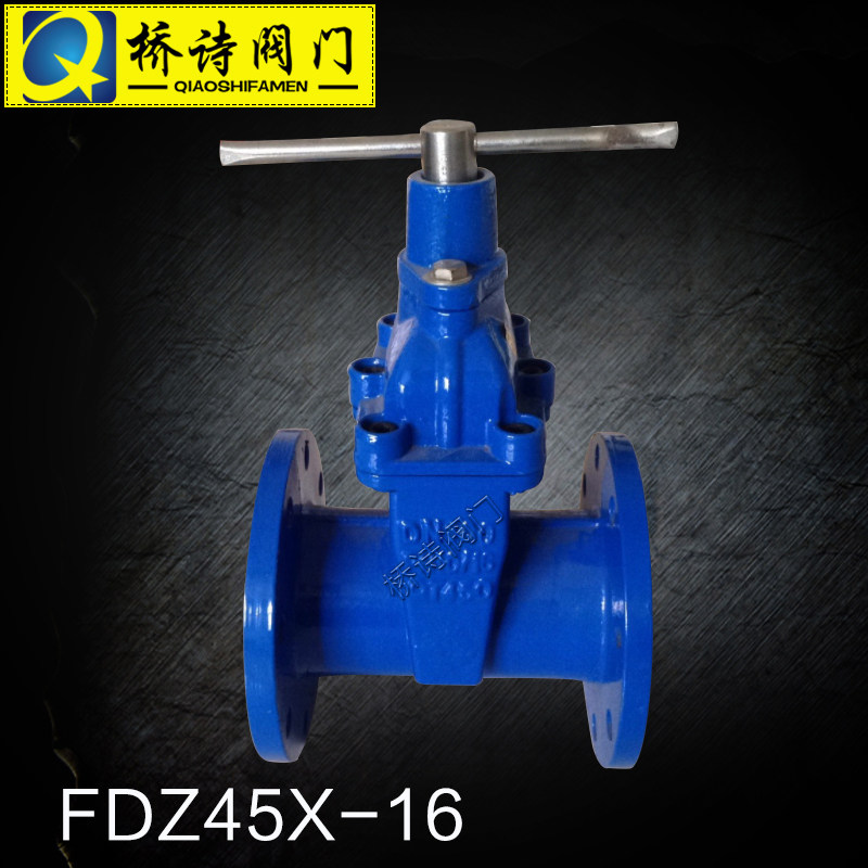 FDZ45X-16加密防盗软密封闸阀 带锁法兰阀门 DN40-DN400 4寸 2寸