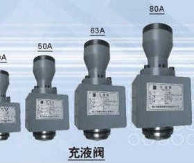 充液阀RCF40 RCF50 RCF63 RCF80A1 RCF100B1吸油阀