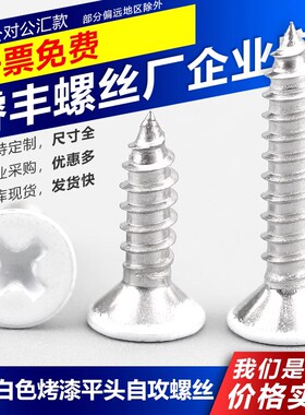 304不锈钢白色烤漆平头自攻螺丝-喷白沉头木螺丝-白头烤白漆螺钉