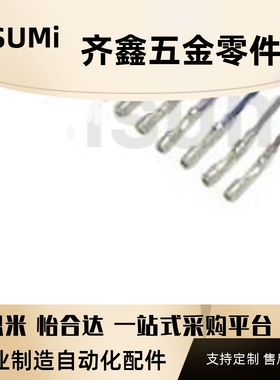 带导线端子 探针用(1-10个装) FNP22L FNP40L