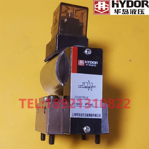 上海华岛HYDOR球式电磁球阀 23QDF6B-4/AW220 23QDF6K-4/AG24