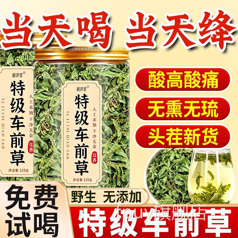 车前草野生新鲜干货官方旗舰中店药材泡水喝的功效与作用无痛茶降