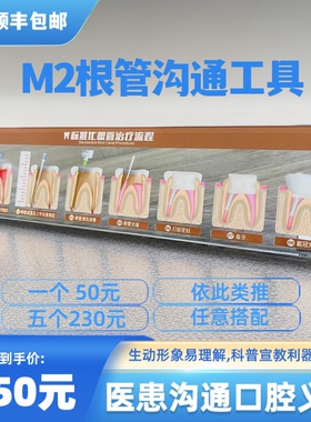 种植牙根管RCT龋齿牙周发展定制模型办公医患沟通牙科沟通工具