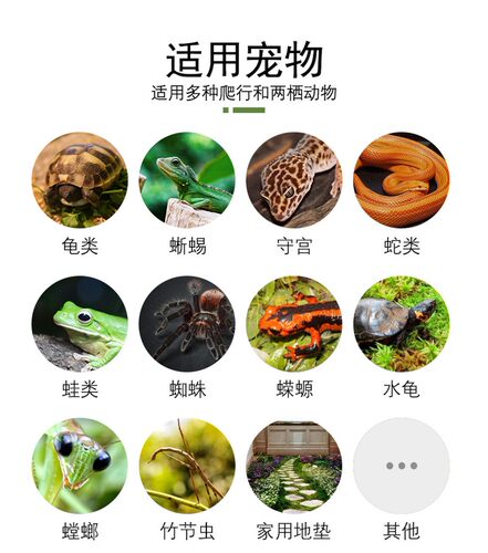 角蛙莫斯地毯陆龟饲养箱爬宠吸水保湿垫两栖安缘乌龟守宫蜥蜴垫材