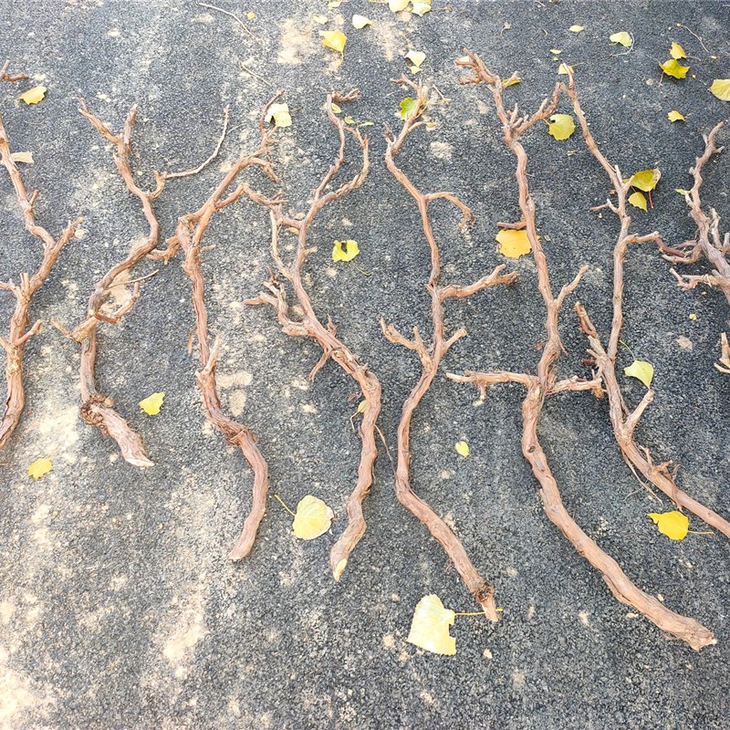 干树枝 树枝装饰干枝艺术枯枝枯木树干 天然去皮本色树枝树藤枯藤