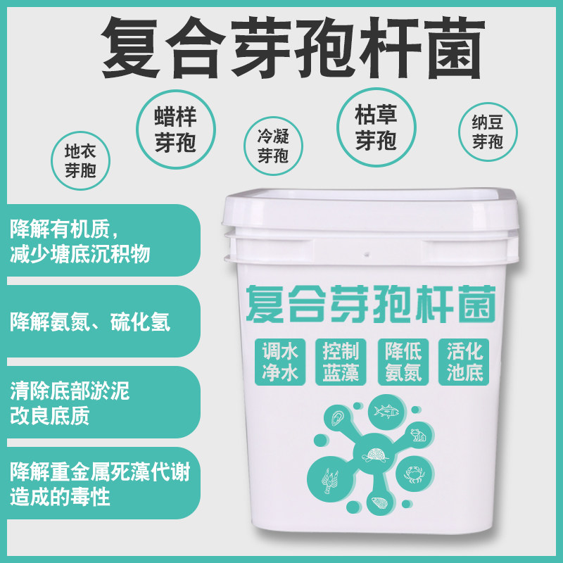 复合枯草芽孢杆菌原粉em菌原种降解氨氮亚盐调水肥水产养殖益生菌