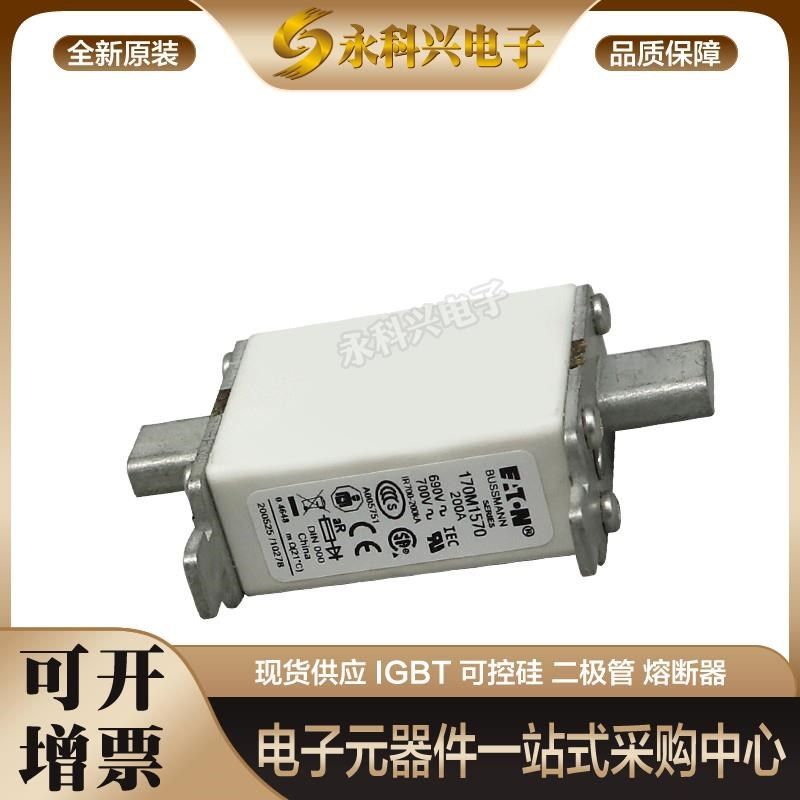 巴斯曼快速熔断器保险170M5261/5262/5263/5264/5265/5266/5267