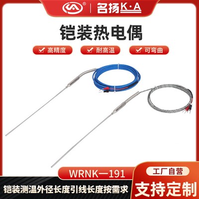 名扬K型高精度探针式铠装热电偶WRNK-191可弯曲探头J型温度传感器