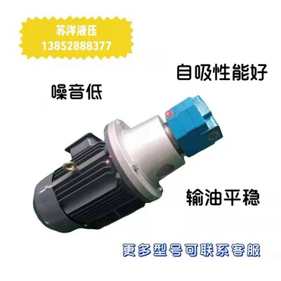 齿轮泵 液压油泵BB-B40N BB-B50N BB-B63N 内泄漏摆线齿轮油泵