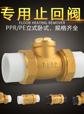 水艇PE止回阀PPR铜卧立式双活接单向阀逆止自来水管表4/6分DN20