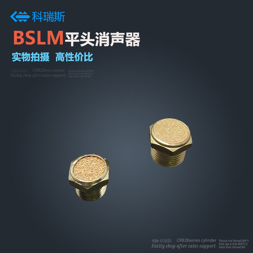 电磁阀平头消声器 BSLM-01 BSLM-02 BSLM-03 BLSM-04 BSM-06 分