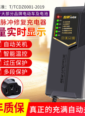 自动断电旭派电池电动车充电器48v12ah60v72v20ah35a通用原装