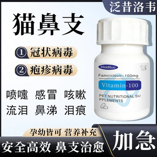 泛昔洛韦片猫咪鼻支感冒喷嚏疱疹杯状病毒兽用瑞维希伐昔洛韦宠物