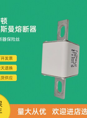 全新快速熔断器保险170M5695 170M5696 170M5697 170M5698