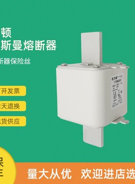 全新快速熔断器保险170M6080 170M6081 170M6082 170M6083