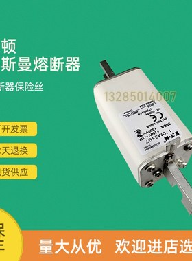 全新快速熔断器保险170M3196 170M3197 170M3198 170M3208