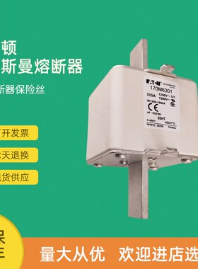 全新快速熔断器保险170M6399 170M6408 170M6409 170M6410