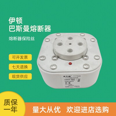 全新快速熔断器保险170M7098 170M7099 170M7100 170M7101