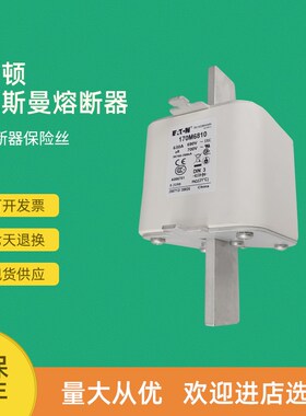 全新快速熔断器保险170M6929 170M6930 170M6936 170M6938