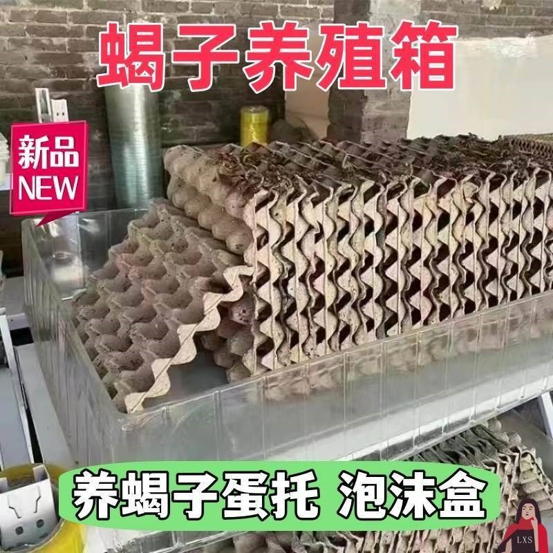 蛋托34蝎子盒子养穴40的蝎子模具蝎房养殖箱笼家蝎窝工具泡沫