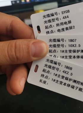 普印达标牌打印机CP300色带 CP101B 黑色 100米 铭牌打印机色带