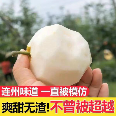 连州水晶梨潭岭水晶梨脆冠梨农家新鲜现摘翠冠梨广东当季时令水果