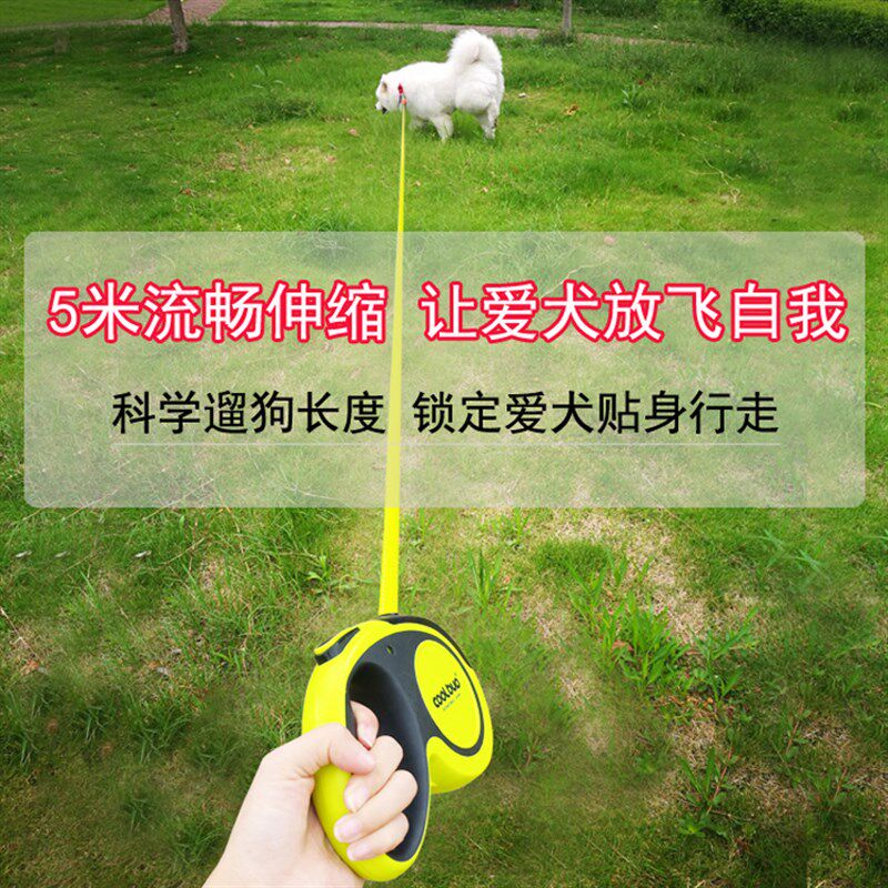 狗狗牵引绳自动伸缩小型泰迪柯基狗链子大型犬金毛拉布拉多遛狗绳