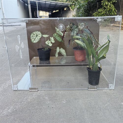 亚克力热植闷养箱热植保温箱育苗箱保湿暖房热带植物陈列柜展示柜
